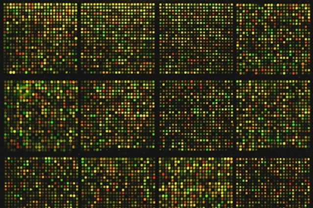 Microarray Data - Supporting Image